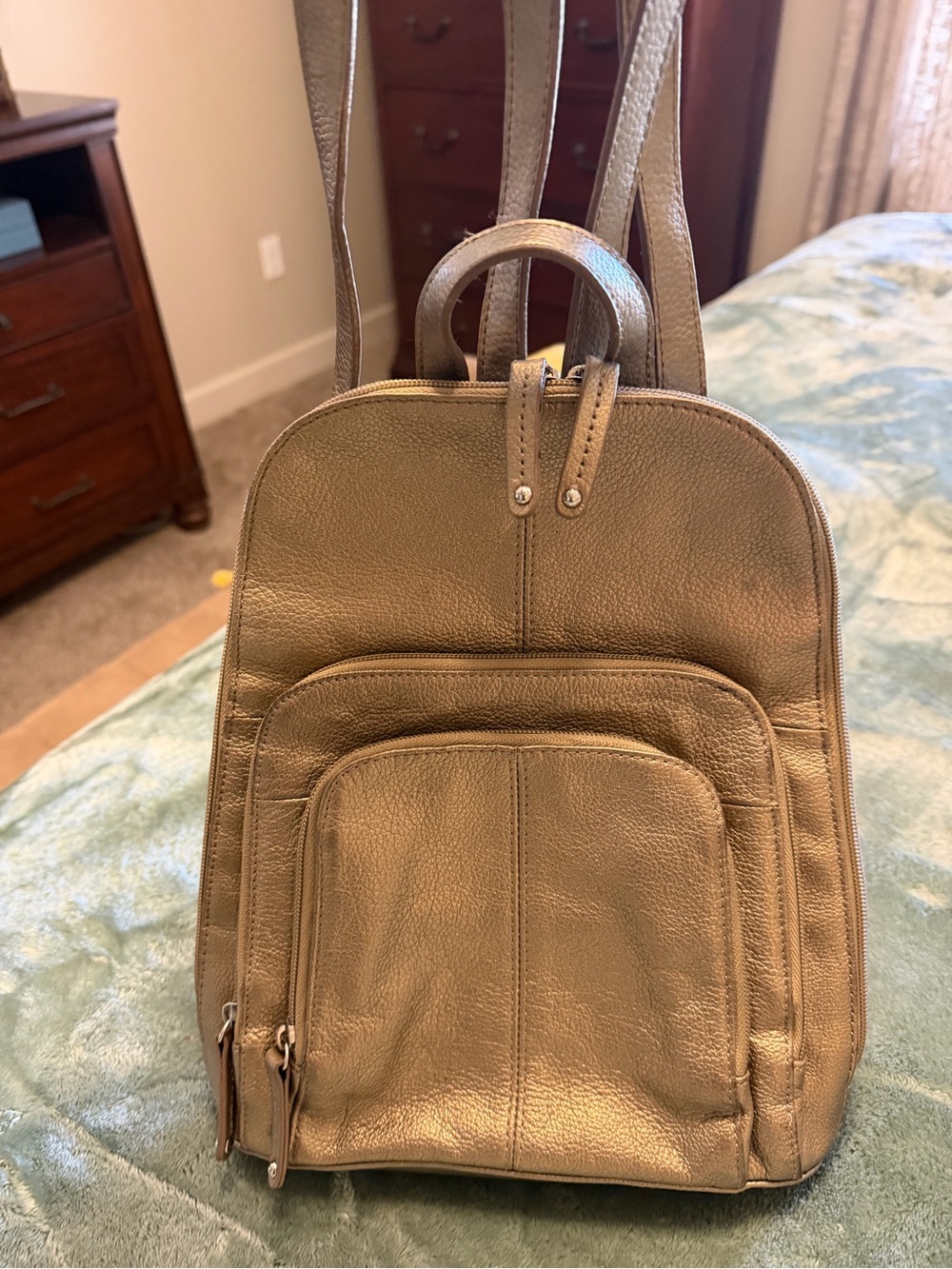Leather Metallic Gold Backpack Bag